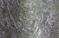 Mellis Green fibreglass roof work
